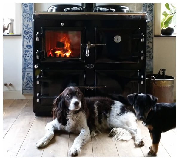 aga wood burning range cooker