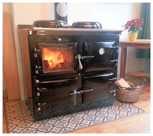 aga wood oven