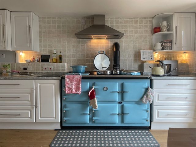 AGA WOOD PELLET FIRED RANGE COOKER STOVE 3 OVEN in Duck Egg Blue